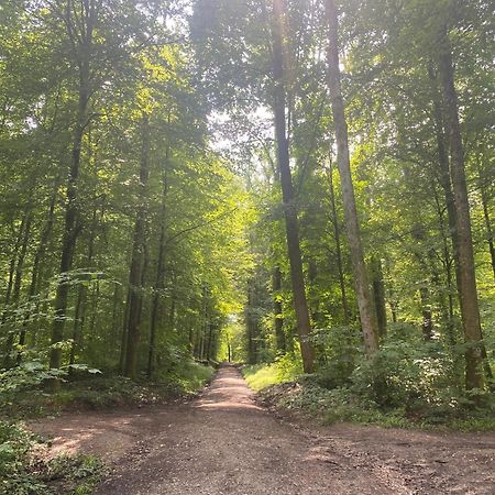 Apartament Sonnenschein Baden-Baden Zewnętrze zdjęcie